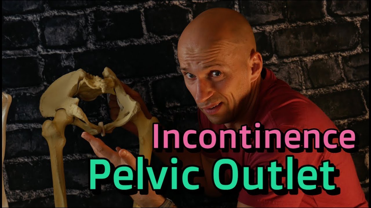 Pelvic Outlets and Incontinence