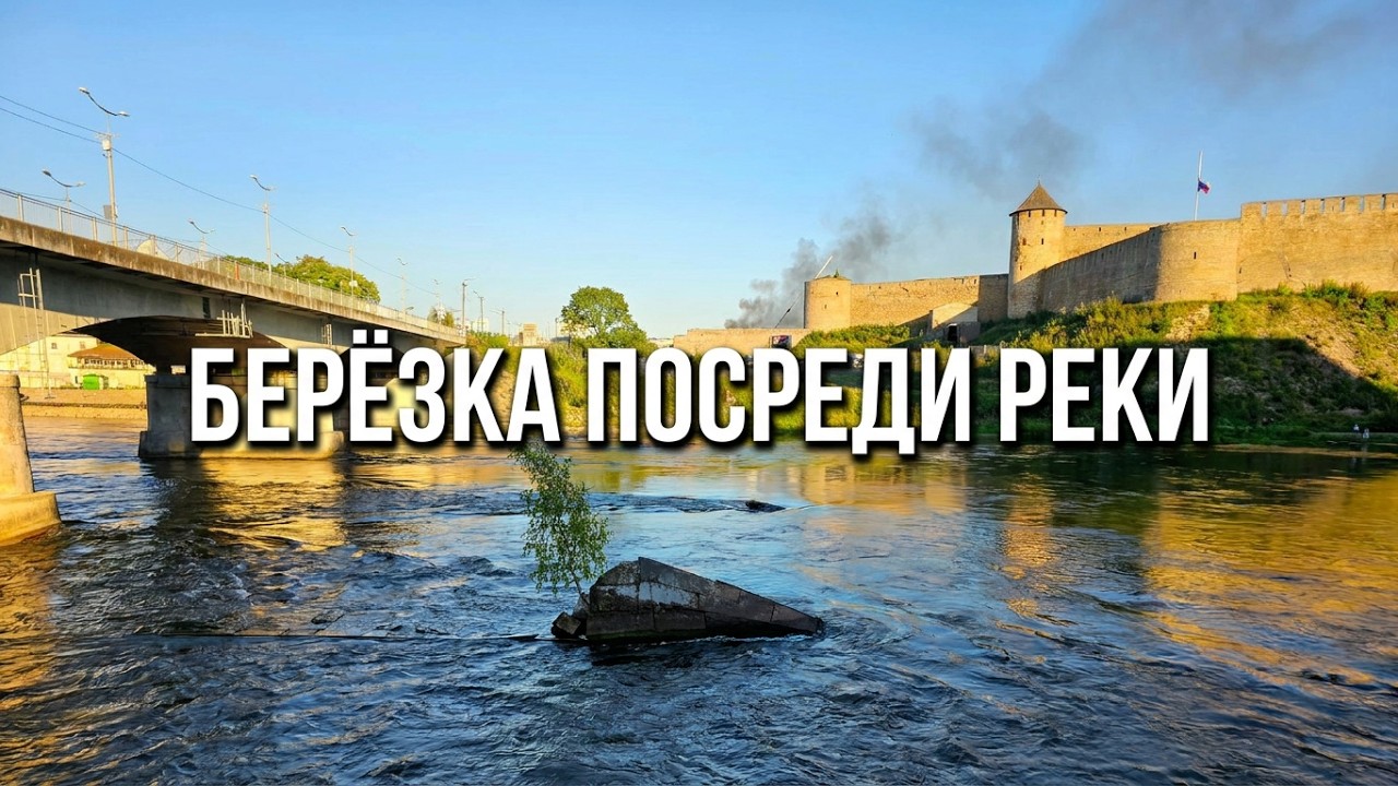Берёзка посреди реки.#Песня #НарвскаяБерезка #СимволНарвы #NarvaWaterfall #VisitNarva #IdaVirumaa