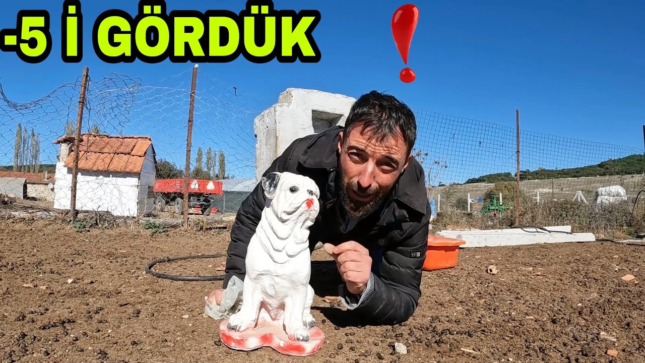 BU NE BÖYLE BUZ~SERA İÇİN KIŞLIK EKİM~EŞİME SÜPRİZ~BENİ KIRAN SORULAR