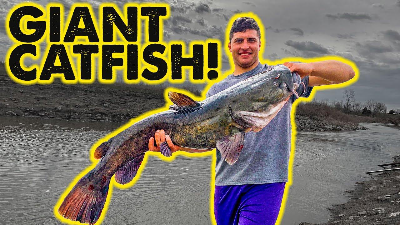 ACCIDENTALLY Caught GIANT Catfish - Snagging for CARP!