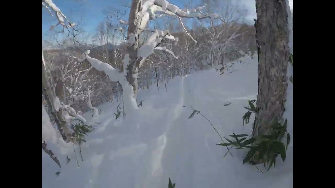 Skiing Tomamu 26 January 2026