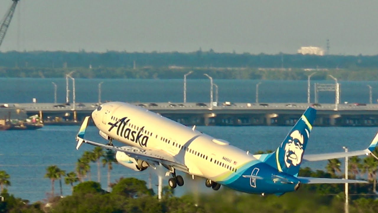 Golden Hour Plane Spotting TPA