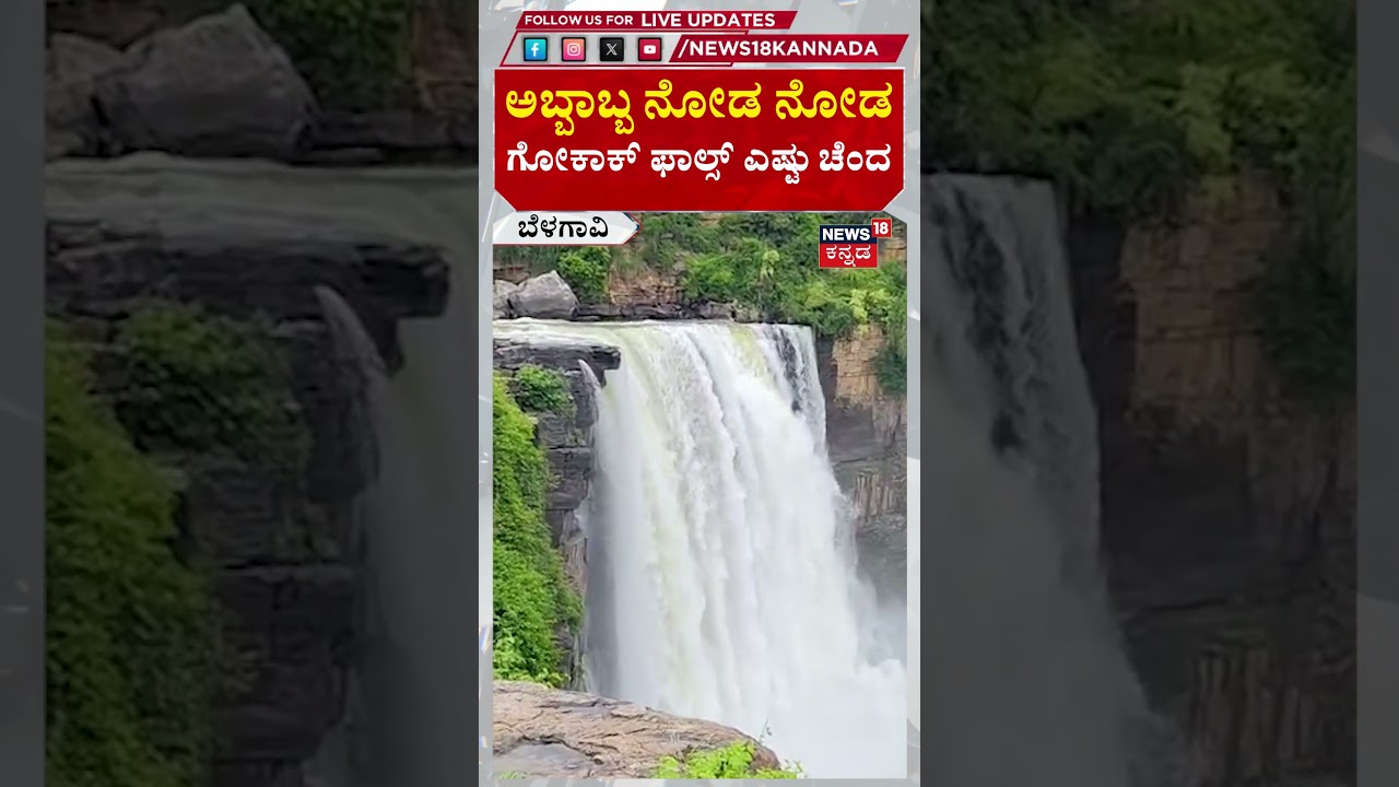 Gokak Falls Scene | Karnataka Rains Effect | ಅಬ್ಬಾಬ್ಬ ನೋಡ ನೋಡ..ಗೋಕಾಕ್ ಫಾಲ್ಸ್ ಎಷ್ಟು ಚೆಂದ | N18S