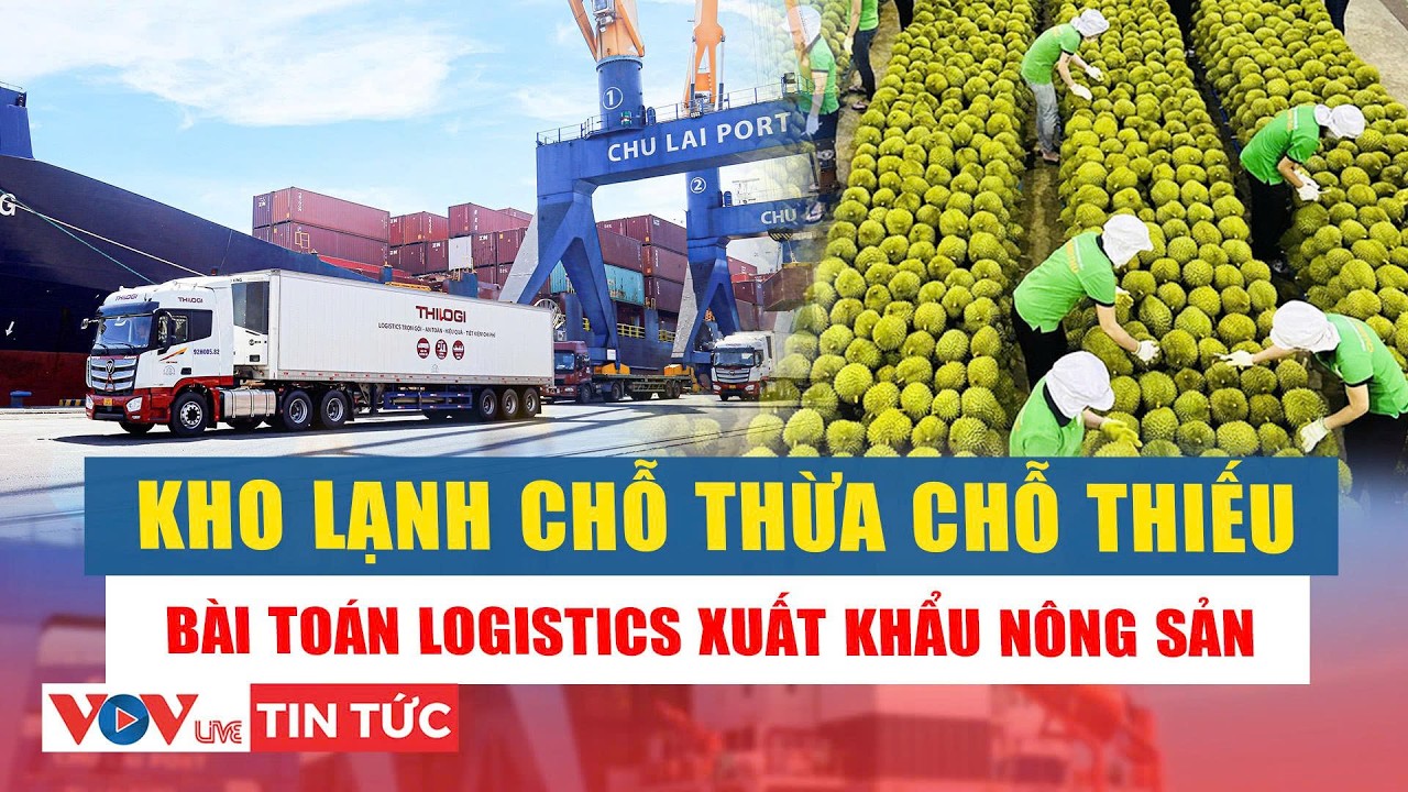 Kho lạnh chỗ thừa chỗ thiếu và bài toán logistics xuất khẩu nông sản | VOVLive