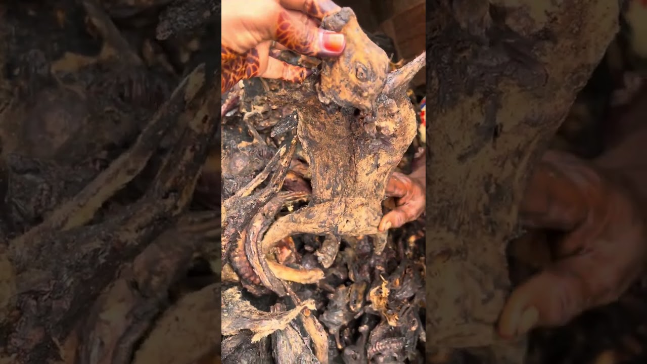Exploring a Local Market for Bush meat. PART 1 