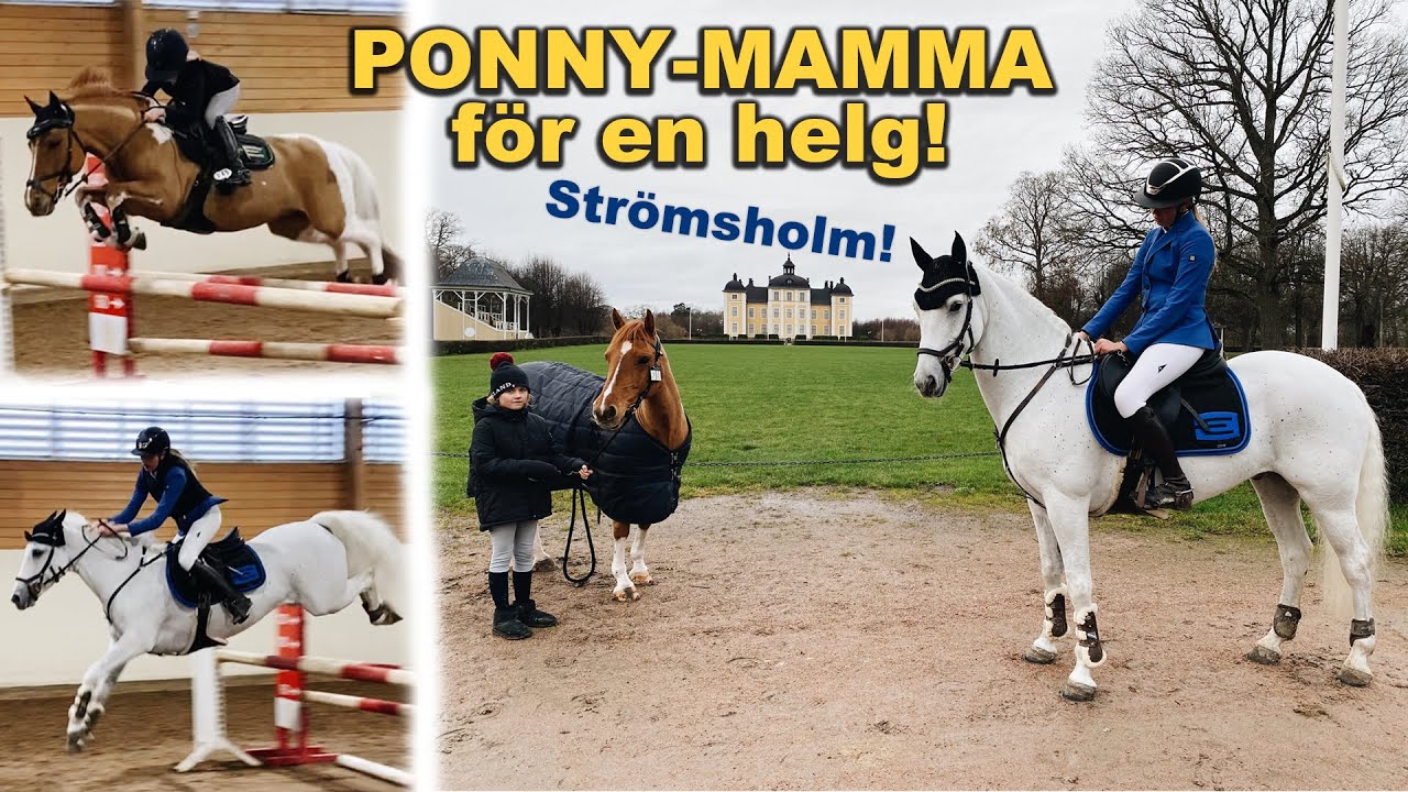 Ponny-mamma i Strömsholm!