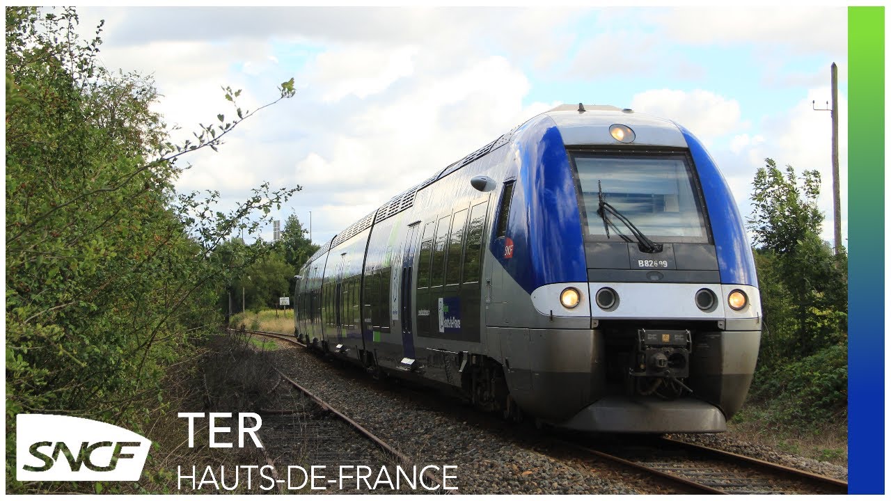 🇫🇷 ⸱ [HD | SNCF] TER Hauts de France - Les TER de la ligne Lille Comines !