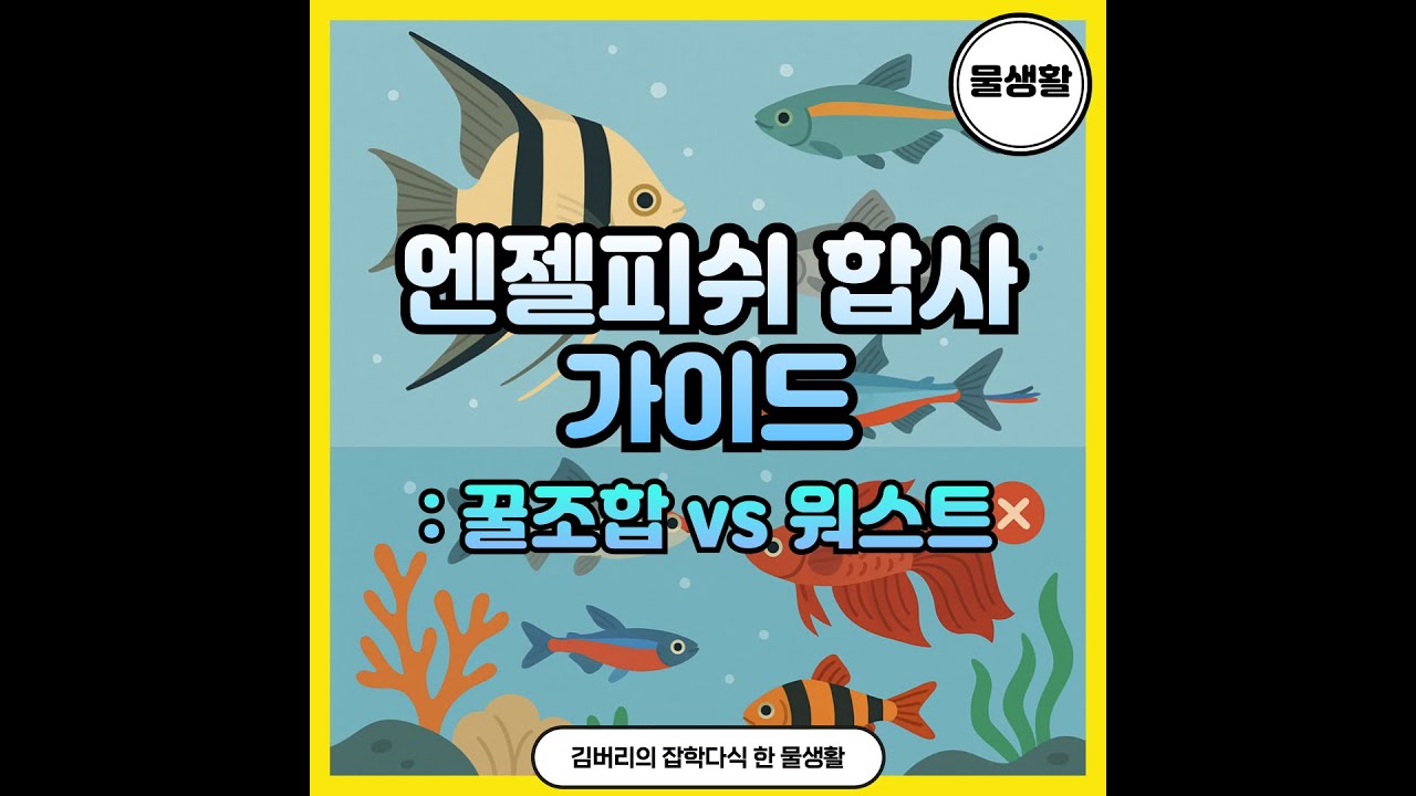 엔젤피쉬 합사 완벽 가이드: 잘 어울리는 물고기 vs 피해야 할 어종