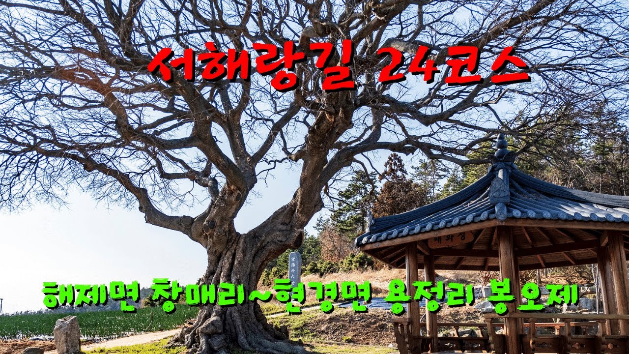 서해랑길 24코스 무안군  해제면 창매리 노인회관~현경면 용정리 봉오제