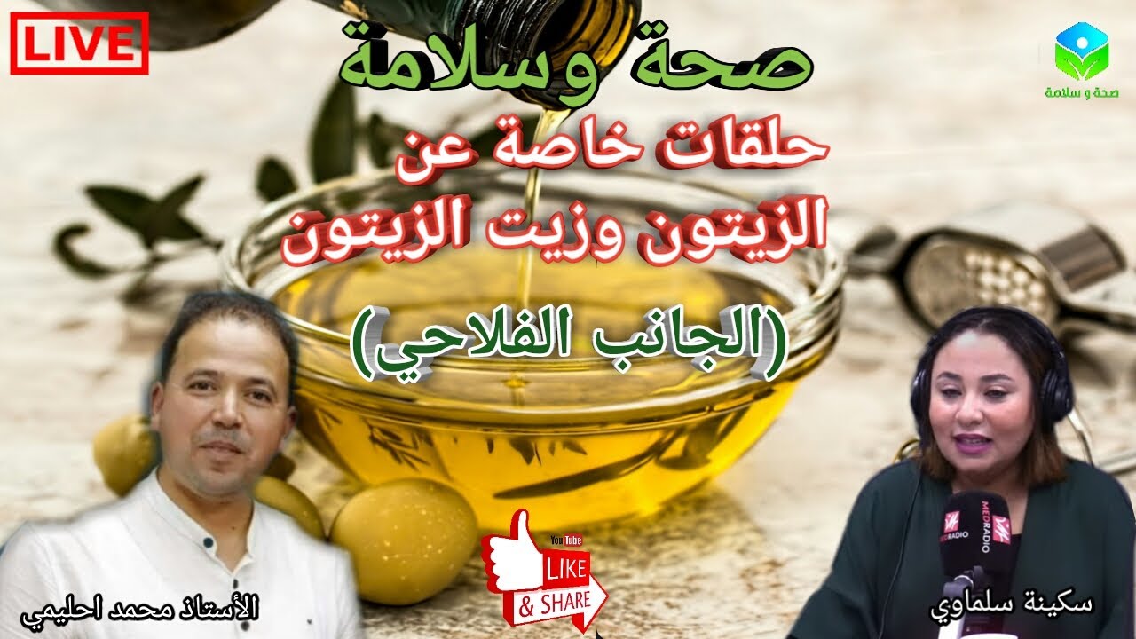 🔴حلقات خاصة عن الزيتون وزيت الزيتون 🍃🌱الجانب الفلاحي 🌿مع الأستاذ محمد أحليمي اخصائي تغذية صحية