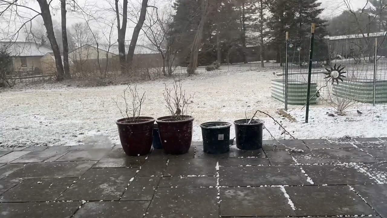 Winter snow squall NJ ❄️ |Time Lapse #snow #squall #wintersnow
