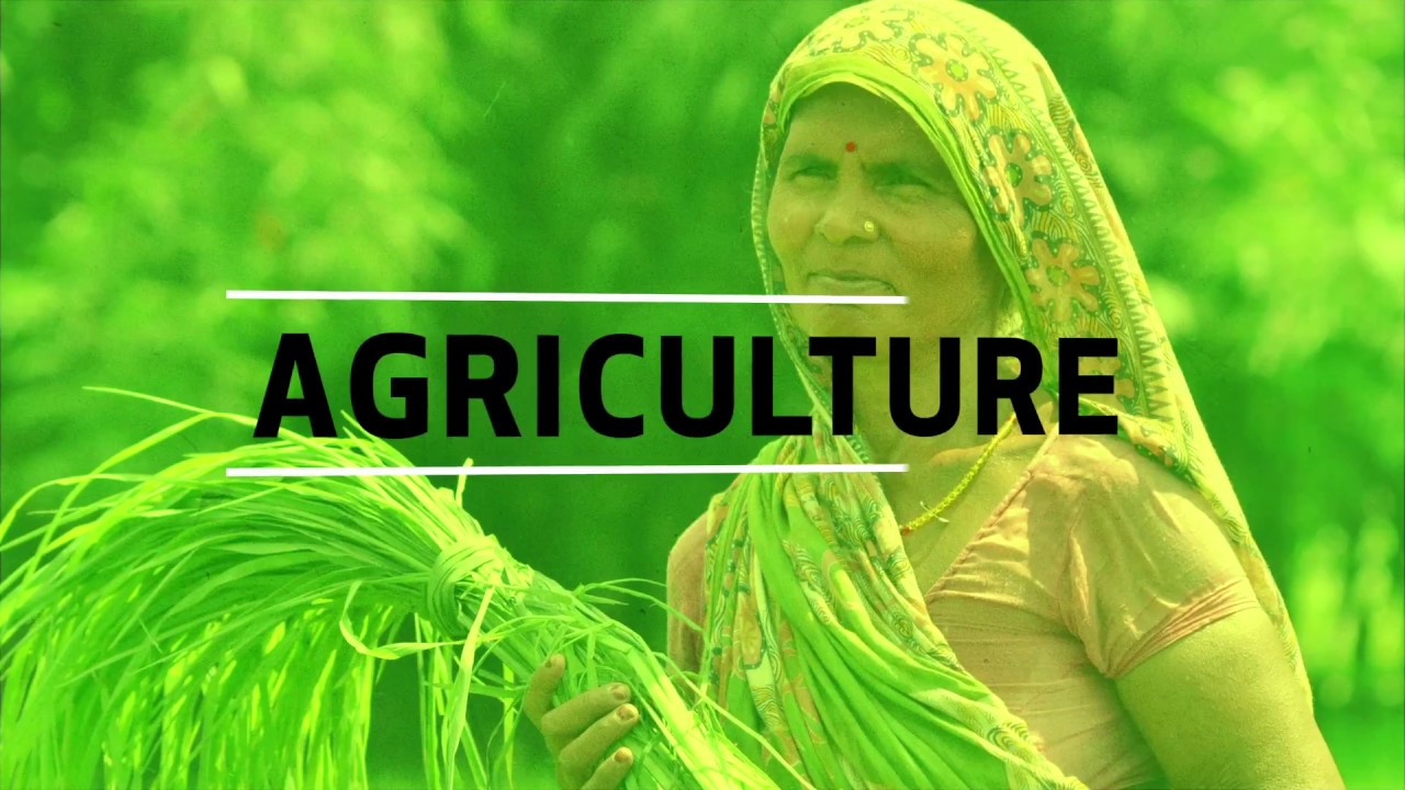 Agriculture and the Sustainable Development Goals