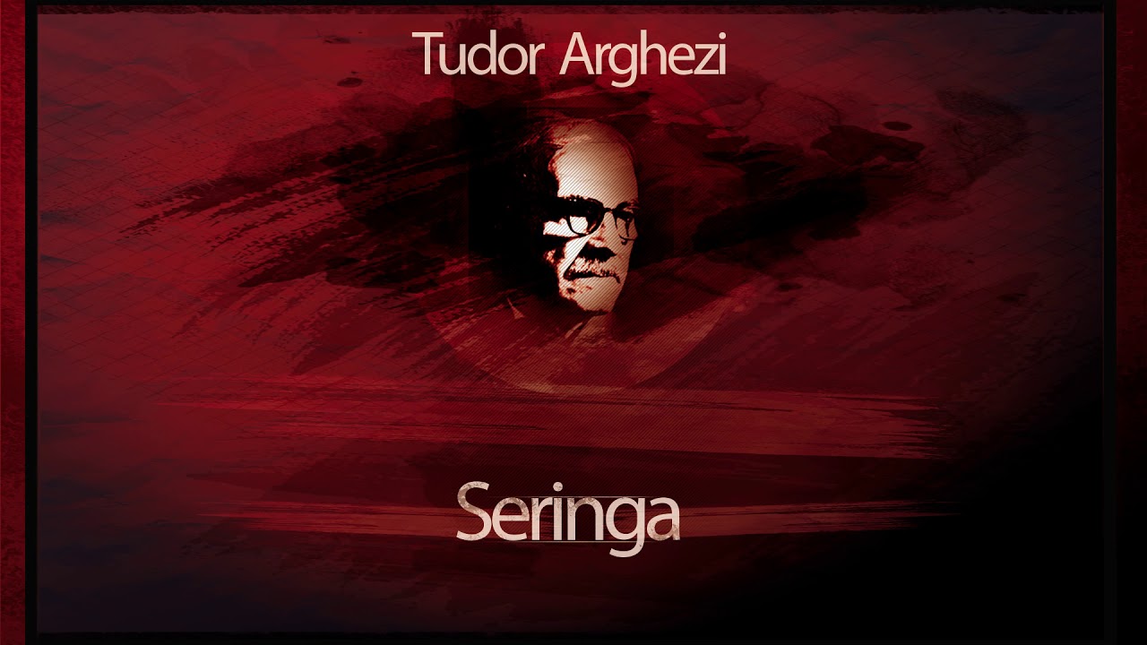 Seringa (1968) - Tudor Arghezi #teatruradiofonic #teatruaudio #teatruonline #teatruvechi #teatru