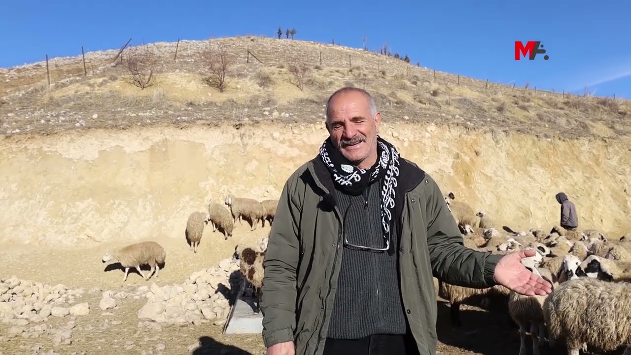 BESİCİLER YAYLA YASAKLARI VE MALİYETLER NEDENİYLE ZORDA