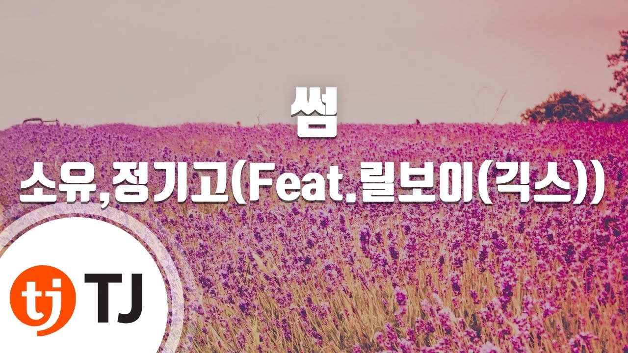 [TJ노래방 / 멜로디제거] 썸 - 소유,정기고(Feat.릴보이(긱스)) / TJ Karaoke