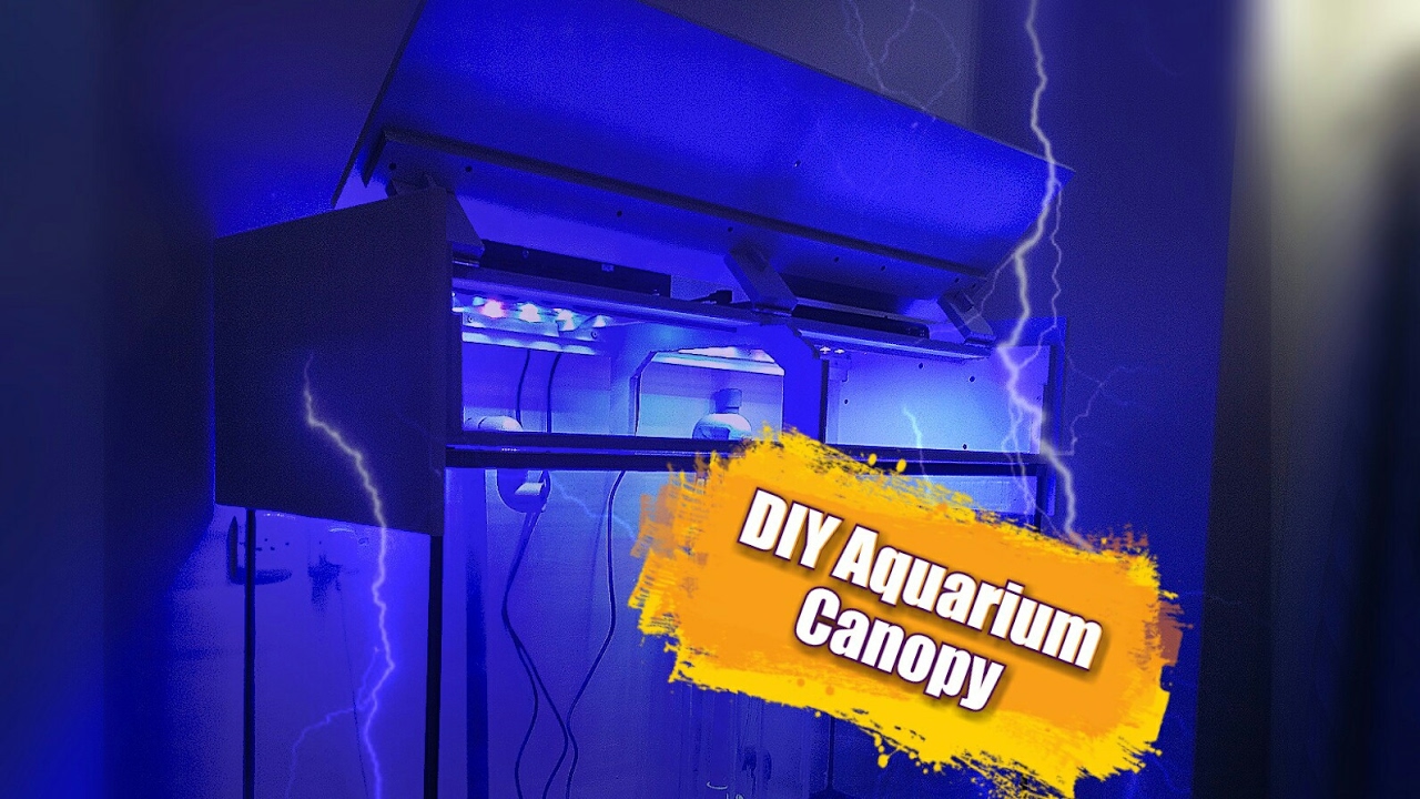How To Build Tank Canopy & LED Light Fixtures (120g Reef Tank Setup E8)  DYI Aquarium Canopy