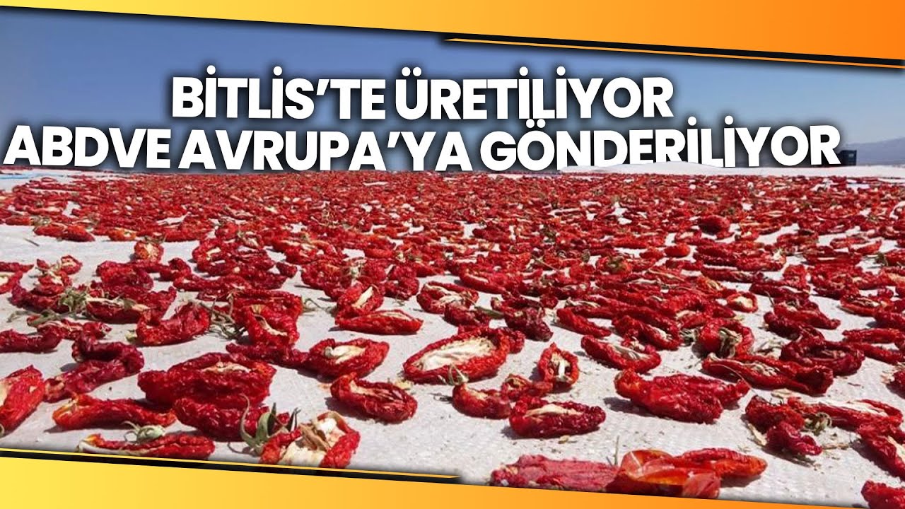 Bitlis’ten Amerika ve Avrupa’ya Kurutulmuş Domates