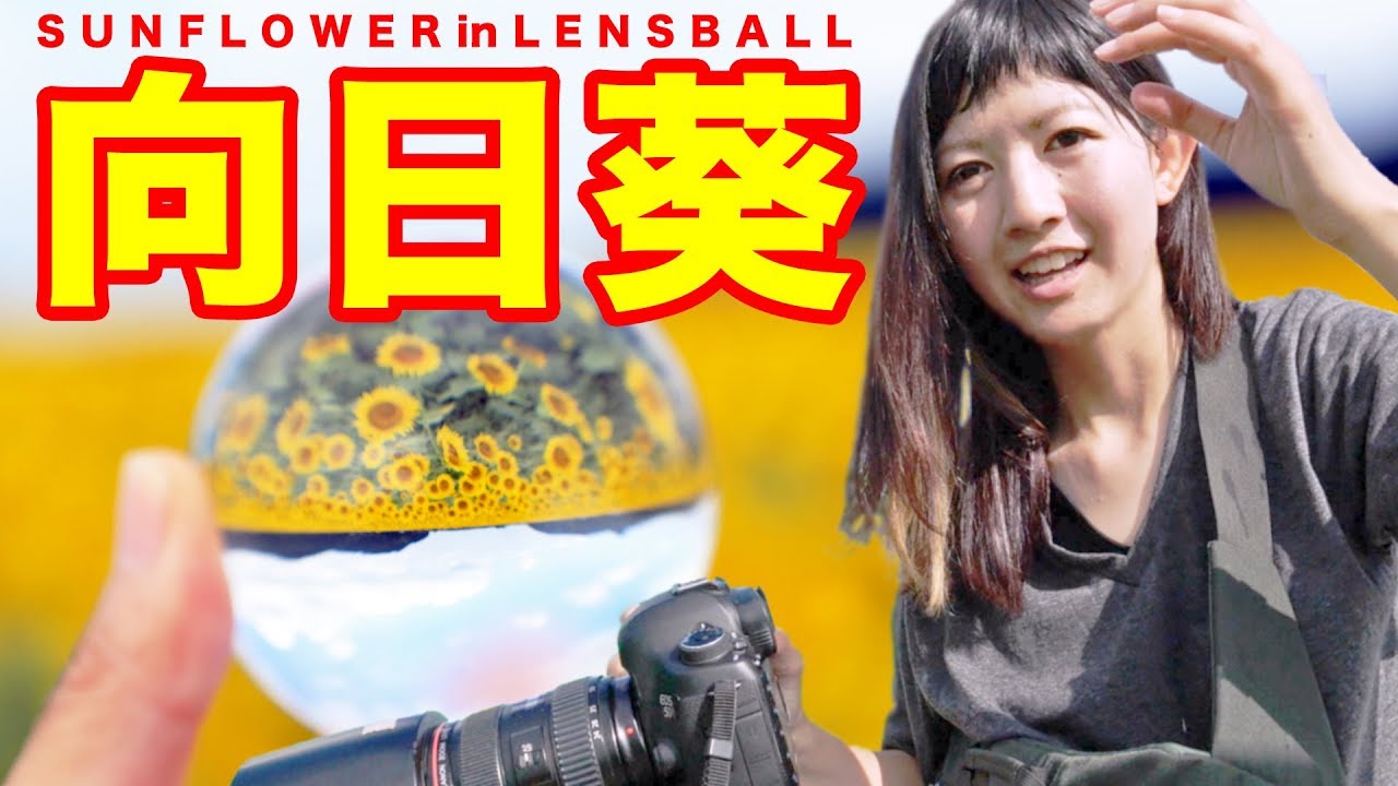 【写真撮影】レンズボールを使ってCanon EOS5D MarkIIIでひまわりを撮ってたらインスタ映えどころかブチキレだしたｗｗｗ【ともよ。】