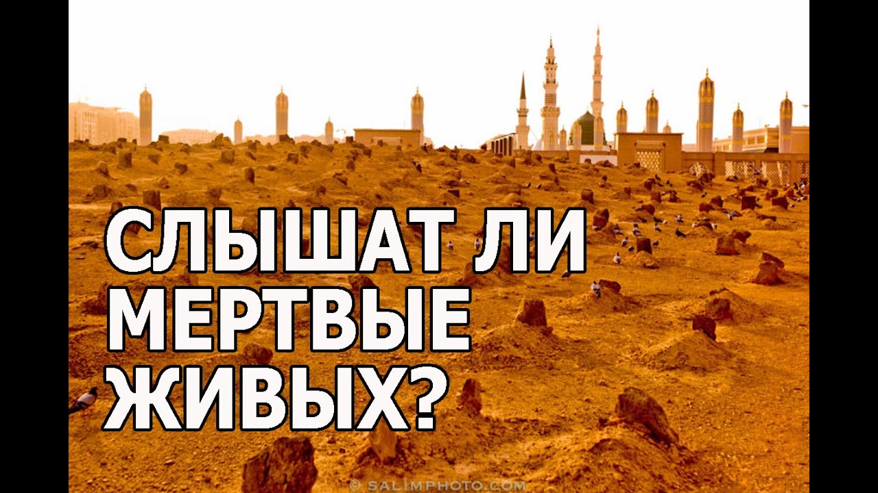 Слышат ли мертвые живых?