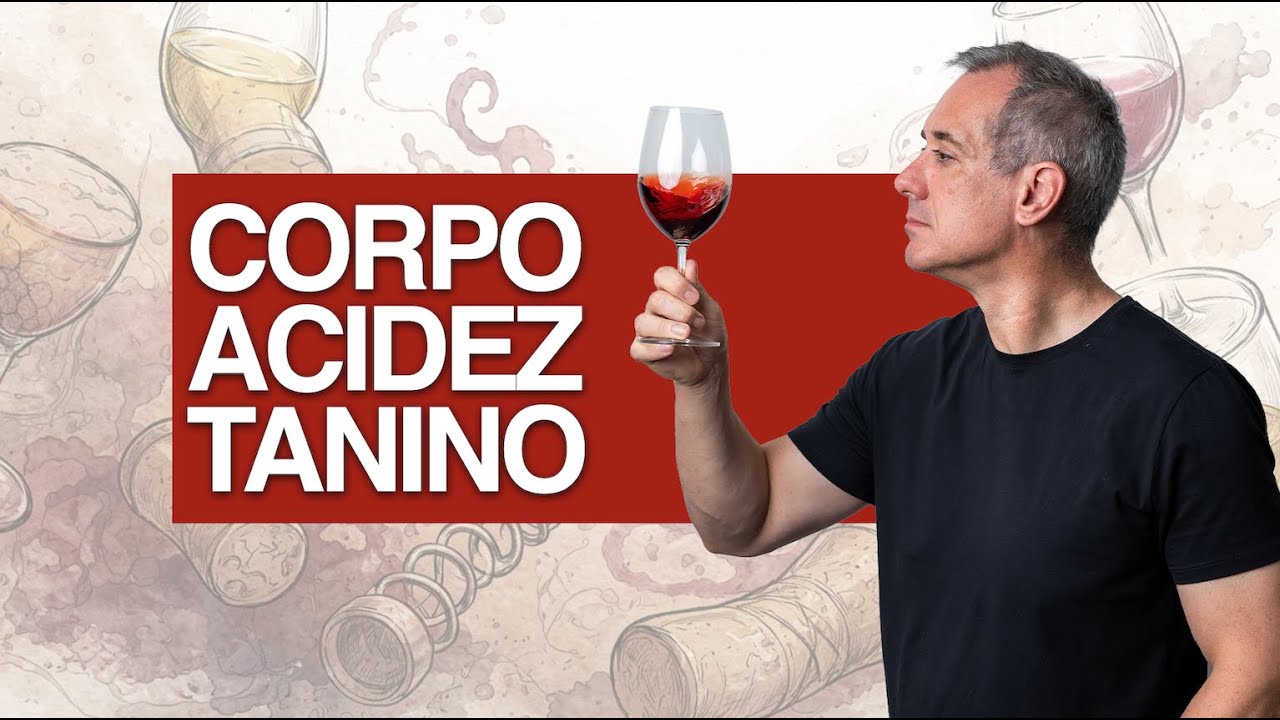 Corpo, acidez e taninos: como entender o vinho sem complicação - Podcast Vinhos de Corte