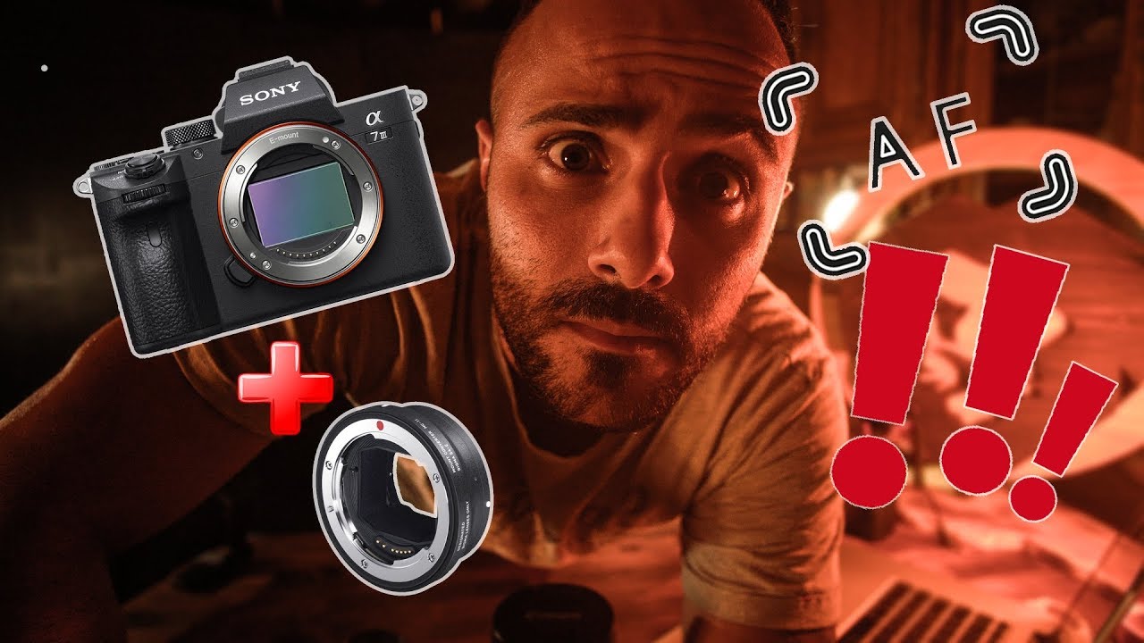 TEST SIGMA 150-600 + BAGUE MC-11 + SONY A7III ( TEST AF )