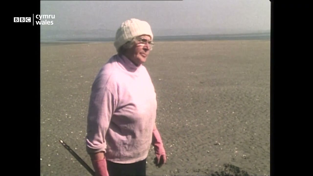 Catrin Stevens yn adrodd o Benclawdd ar y diwydiant cocos