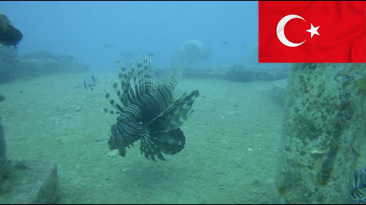 Scuba Diving | Side, Turkey 2023