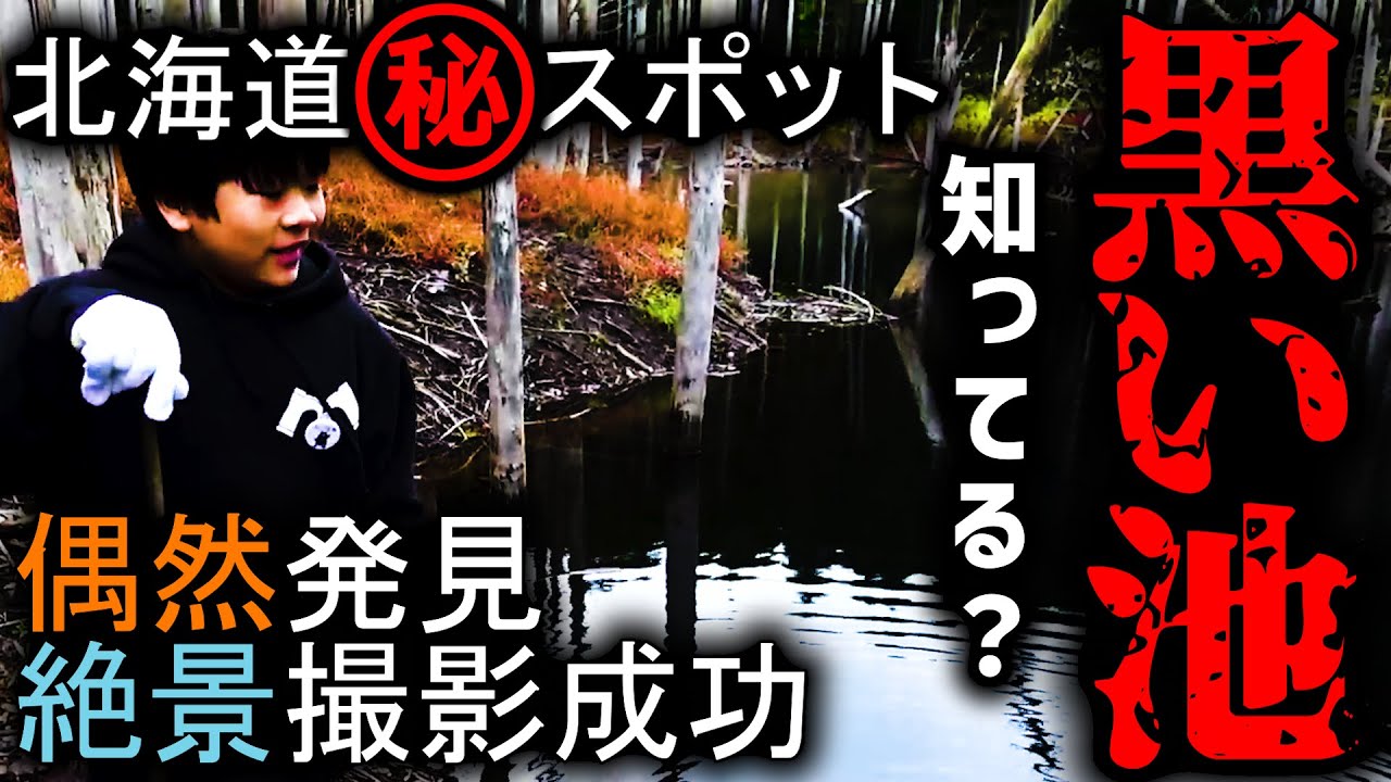 知ってます？【黒い池】北海道は青い池だけじゃない！絶景撮影成功！！！