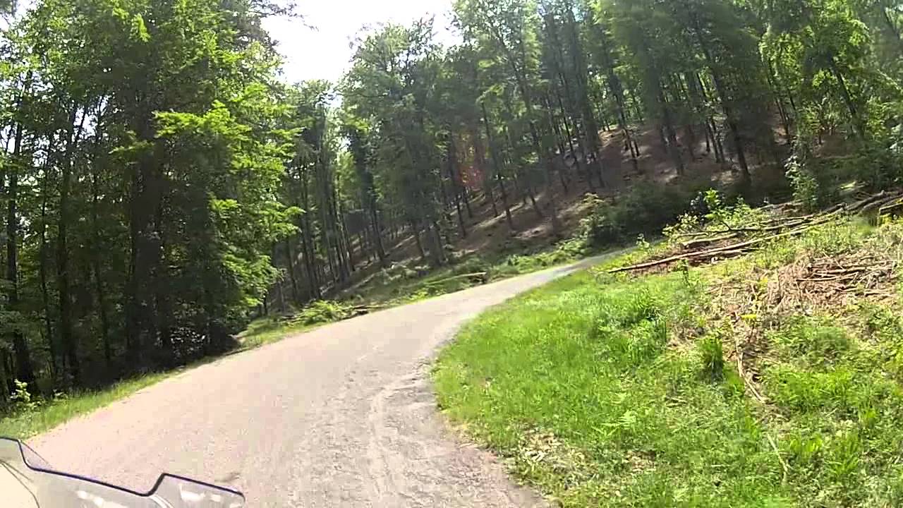 Route Foresti&egrave;re von Baerenthal bis Reipertswiller