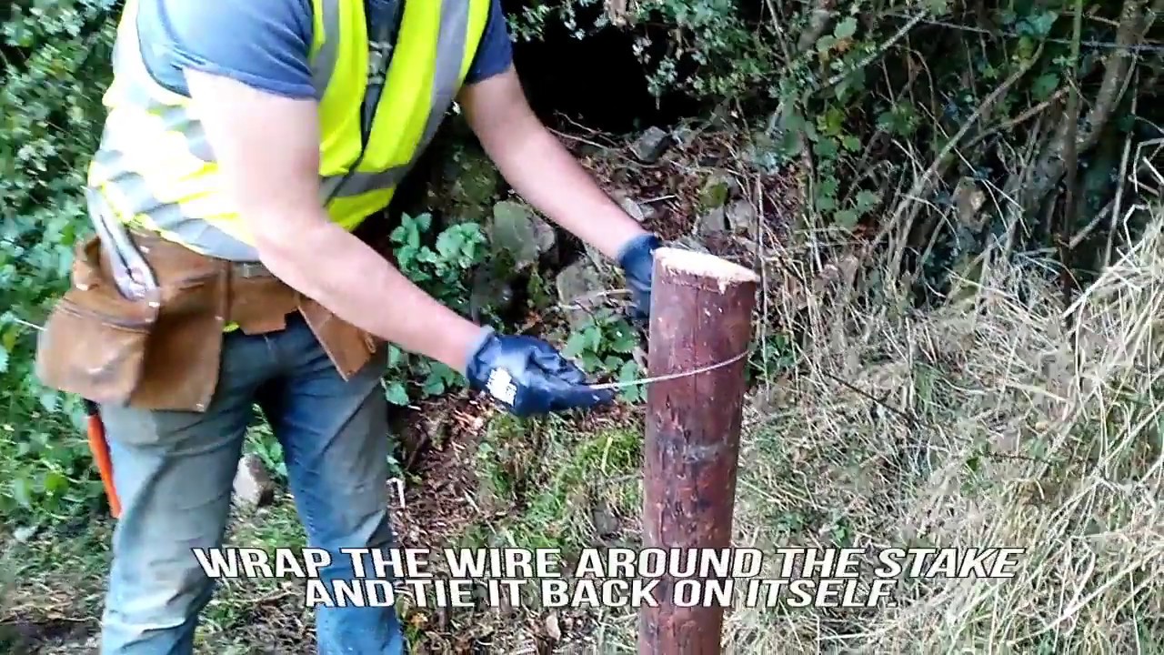 Farmer know-how: erect single-strand electric fencing