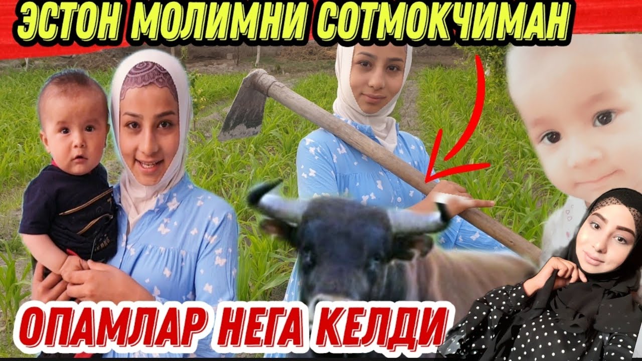 БЛОГЕР КИЗ ЭСТОН МОЛИНИ СОТМОКЧИ НАРХИ КАНЧА БИЛАСИЗМИ...