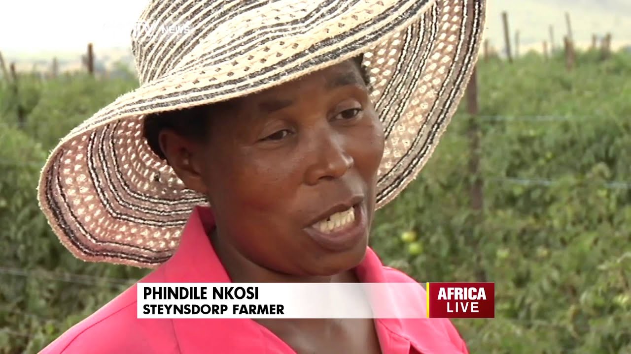Woolworths Partners With Small Scale Farmers In South Africa
