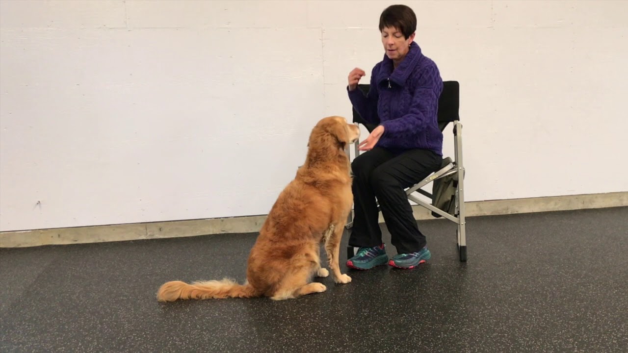 Chin Rest Prelude to Dumbbell Hold