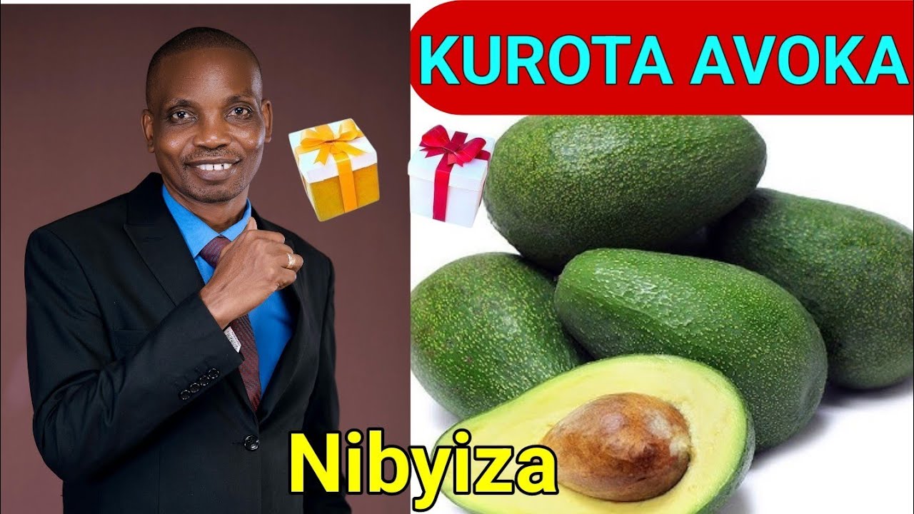 🔴IBANGA RYO KUROTA AVOKA 🌿 MUNZOZI N’UMUGISHA! UKOMEYE!
