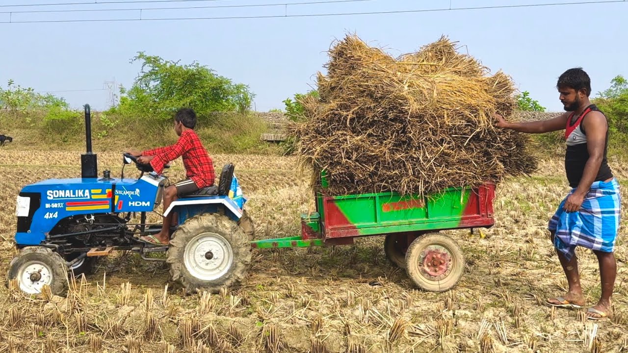 We Brought the Paddy From The Field Home With Sonalika Tractor | Farmer Video | Tractor Video 