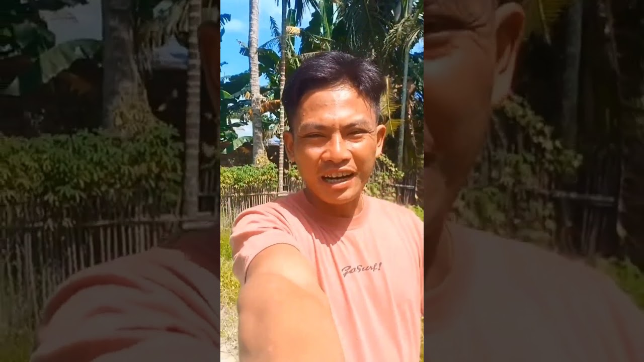 mesin combine atau mesin ketam angin. 