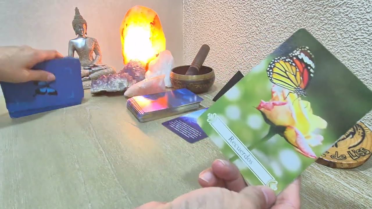 ✨️CANALIZACIÓN SIGNO POR SIGNO.☀️ 