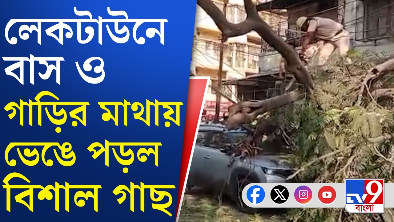 Laketown Tree Incident: গাছ ভেঙে বিপত্তি, অল্পের জন্য রক্ষা বাস যাত্রীদের, ক্ষতিগ্রস্ত ৩টি গাড়ি
