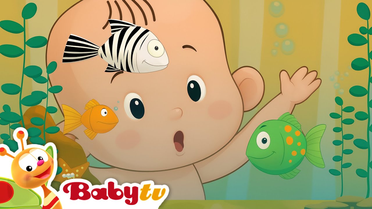 Magia no Aquário 🐠🐟 | Diversão e Música com Peixinhos @BabyTVPT