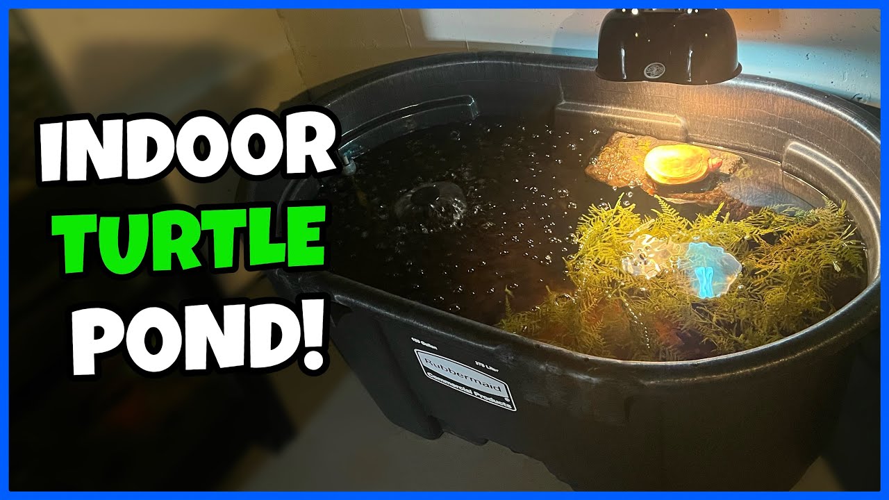Setting Up 100 Gal. TURTLE POND!