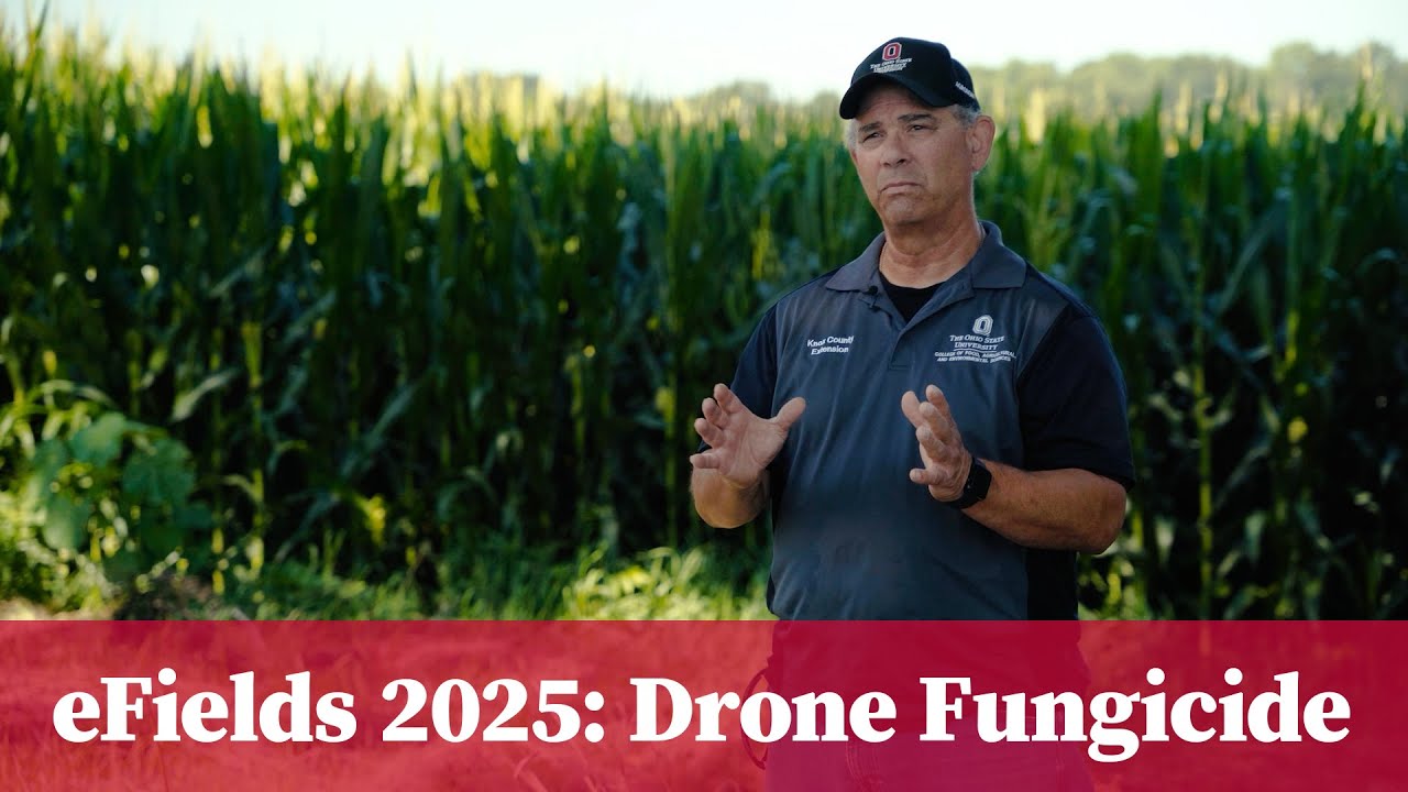 eFields On-Farm Research 2025: Drone Fungicide Application