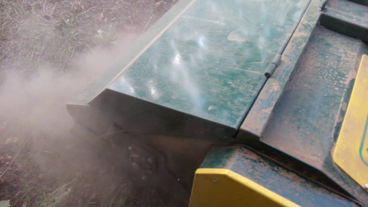 Sakupljač lešnika - Agrokons, Mali Iđoš