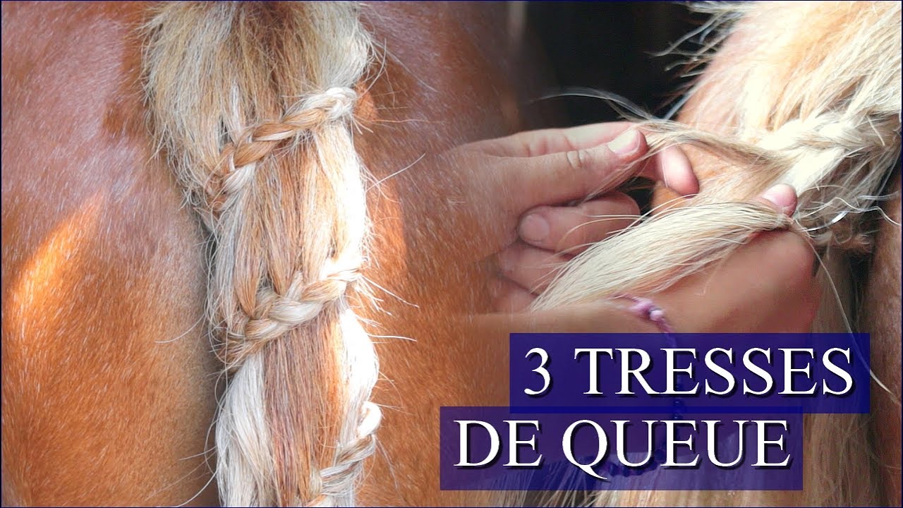 3 IDÉES COIFFURES - Pour la queue