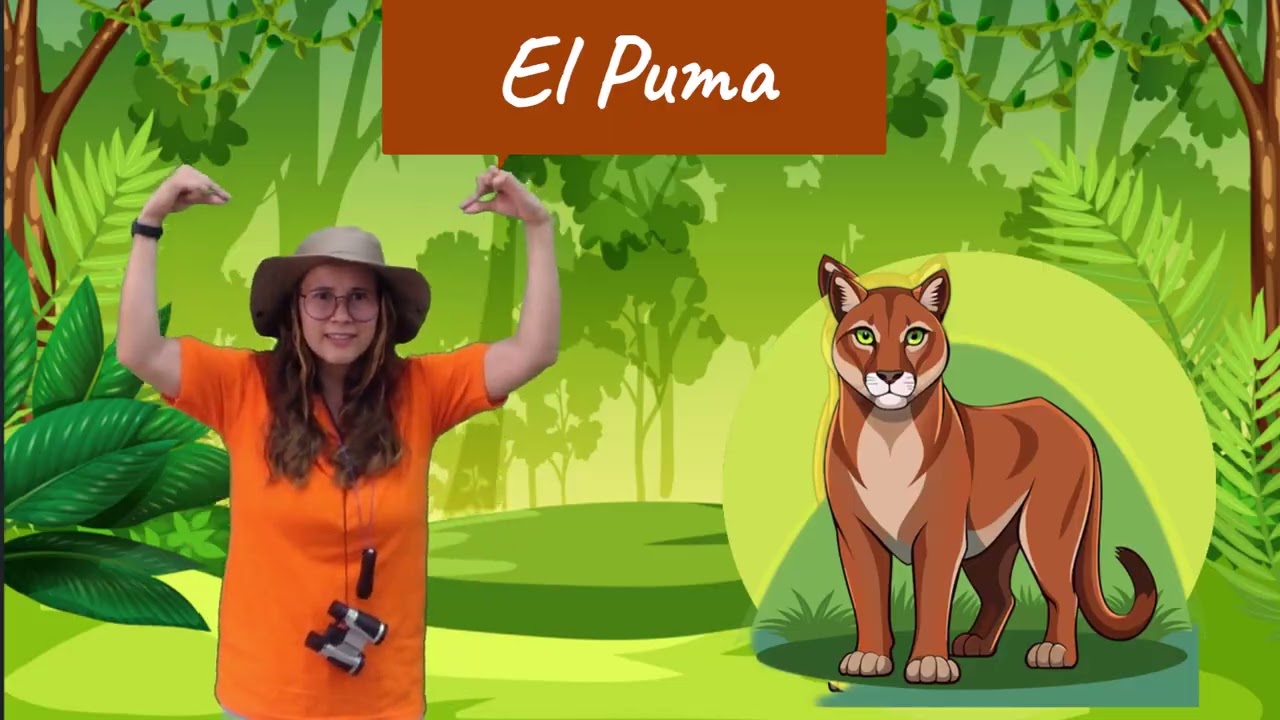 ANIMALES SALVAJES EN LENGUA DE SEÑAS LSC
