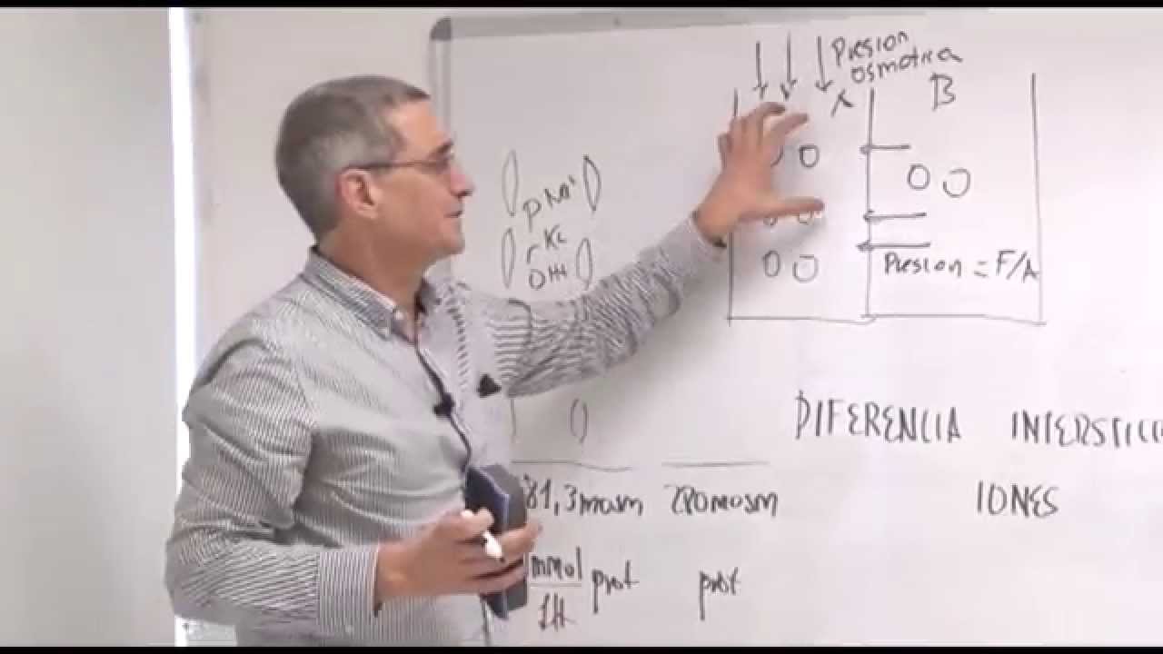 10. Fisiología - Equilibrio de Gibbs Donnan Parte II