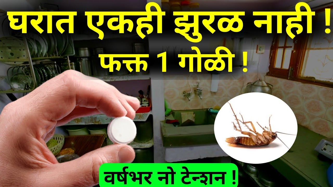 झुरळांवर पावरफुल उपाय 3 रुपयात |zural marnyache upay|cockroach control|kitchen tips,cleaning marathi