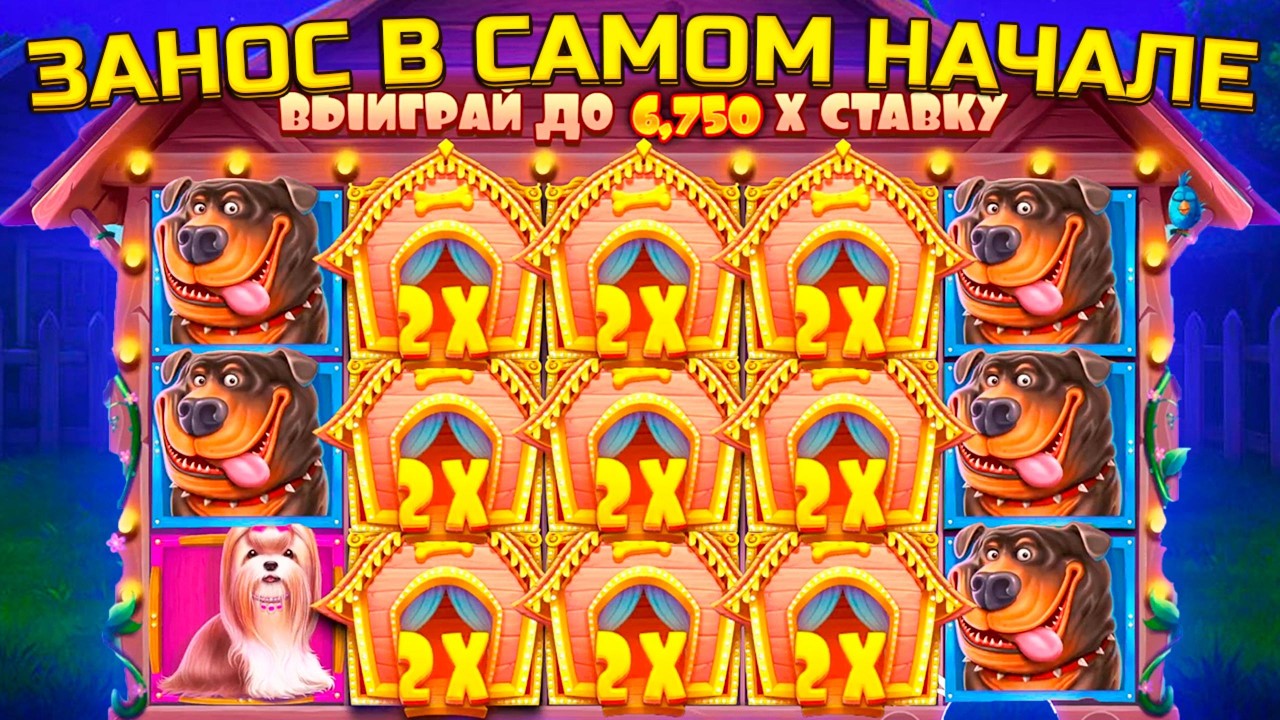 ЛУЧШИЙ ЗАНОС С 4 000 В СОБАКАХ, НЕОЖИДАННЫЙ КОНЕЦ