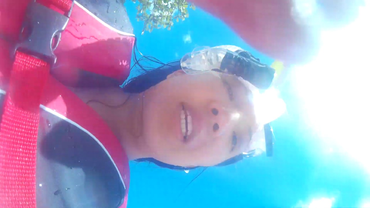 Swimming in Turtle Lagoon