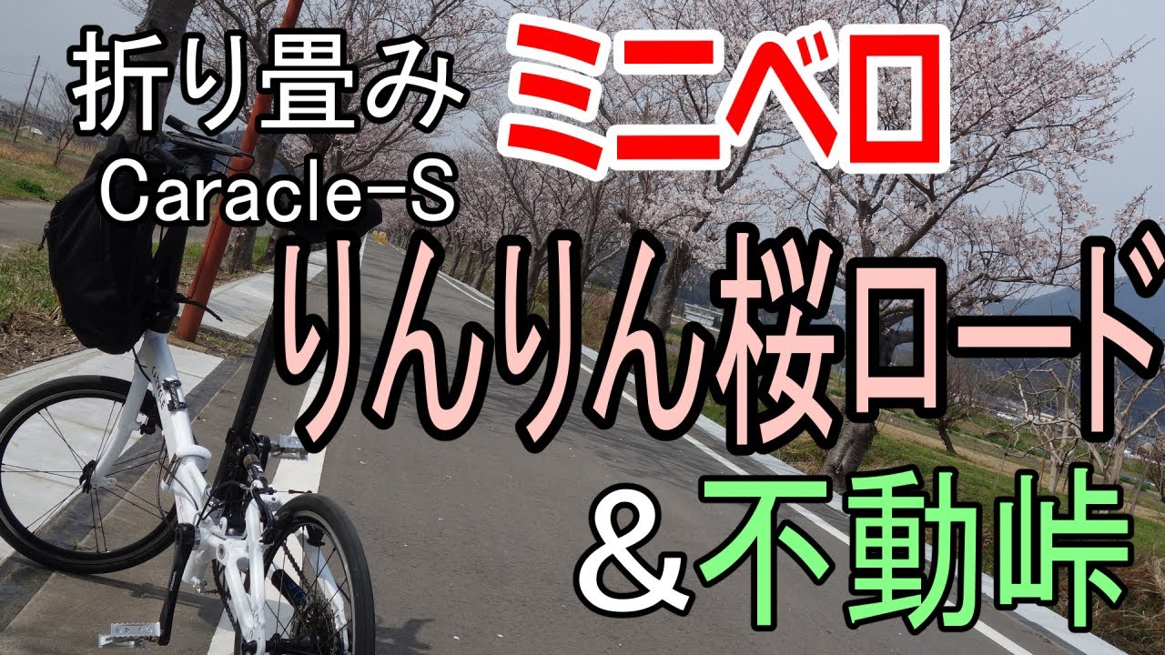 ミニベロでりんりん桜ロードと不動峠ヒルクライム