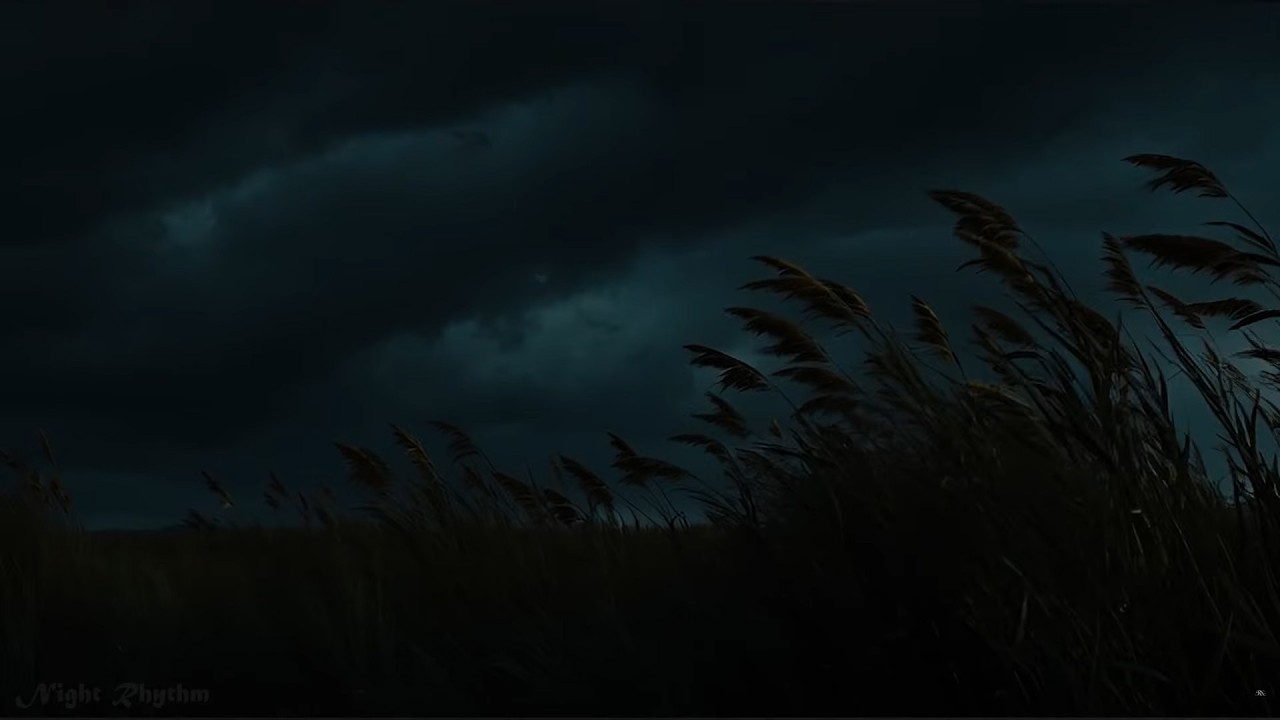 Sleep to Thunder & Night Winds | Storm Over Silent Fields | Majestic Calm for Deep Rest